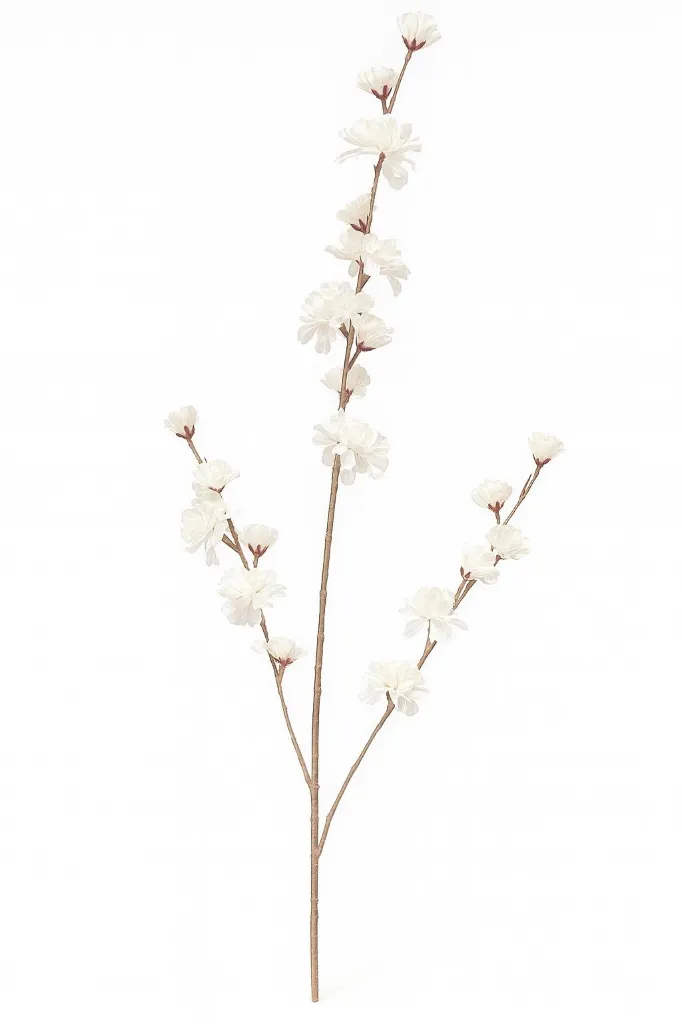Ima8f948sd6f4opfkopdsfjdspojfdge.webp