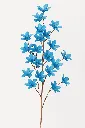 Ima89g4798gdsdkjfoijfodige.webp