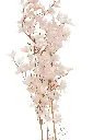 Imag489489gjioghdsuidhe.webp