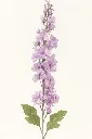 Imag4489489yuguyvvytcfce.webp