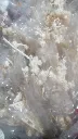 Imag4d6sa4d98s7f8afasdsadfasfe.webp