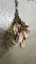 Imag+96498jkiufgtdrtstrserserfe.webp