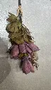 Imag6d5asd4sd6asdsdasdse.webp