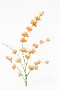 Imagda68s48489asfsjoijhfiose.webp