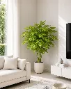ChatGPT Image May 2, 2026, 01_40_49 PM.webp