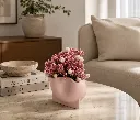 ChatGPT Image Jul 21, 2026, 10_26_16 AM.webp