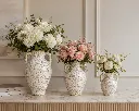 ChatGPT Image Jul 22, 2026, 12_16_56 PM.webp