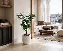 ChatGPT Image Aug 20, 2026, 10_36_33 AM.webp