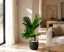 ChatGPT Image Aug 20, 2026, 06_24_13 PM (1).webp