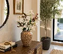 ChatGPT Image Aug 25, 2026, 04_55_54 PM.webp