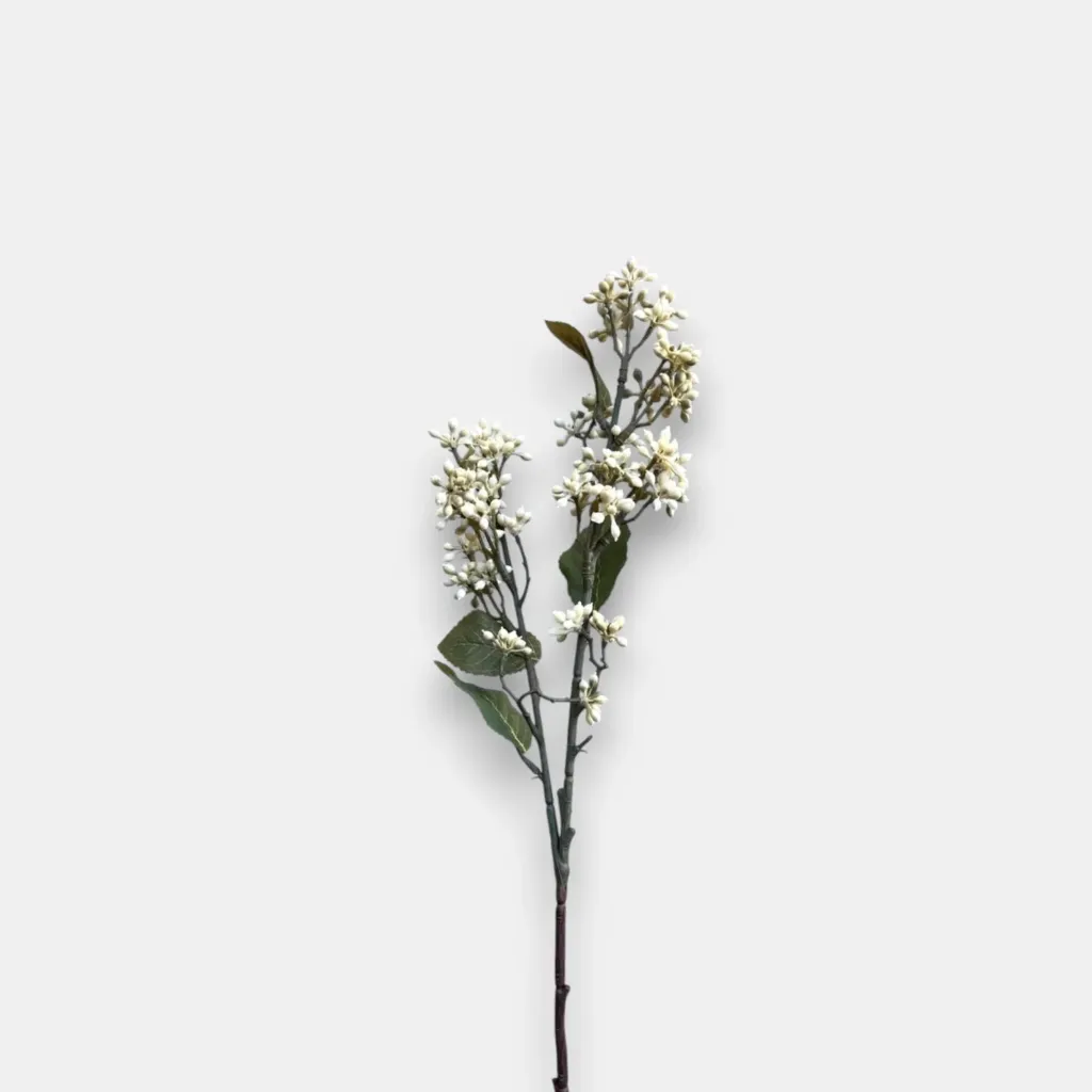 [2叉小枝果子  58cm عرق ورد دازيجوزاي  لون ابيض صغير]   عرق ورد دازيجوزاي  (White, 58 CM)
