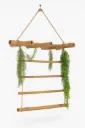 Bamboo stairs