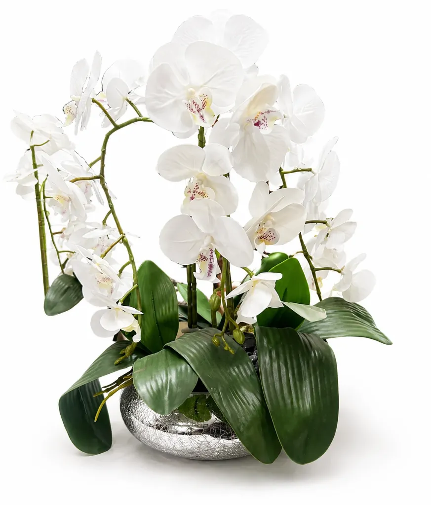 تنسيقة انجلينا