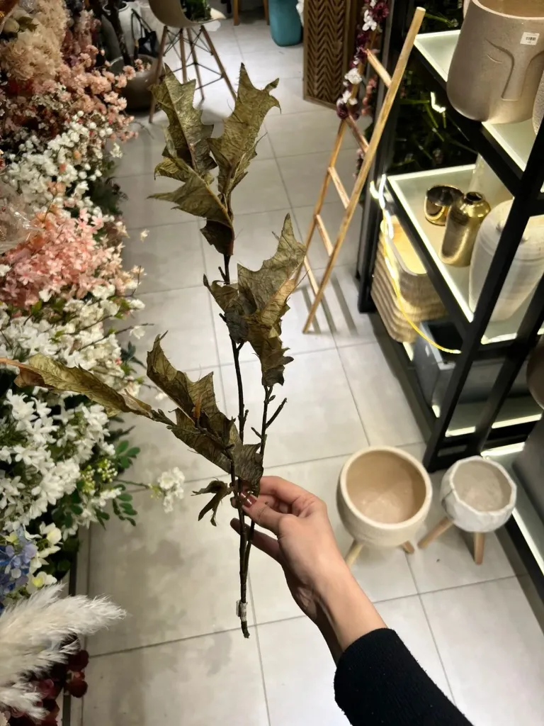 ورد بلوط 