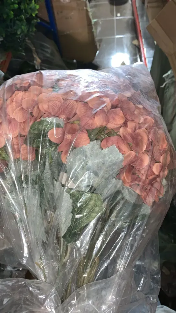 ضمة ورد قرطاسيا