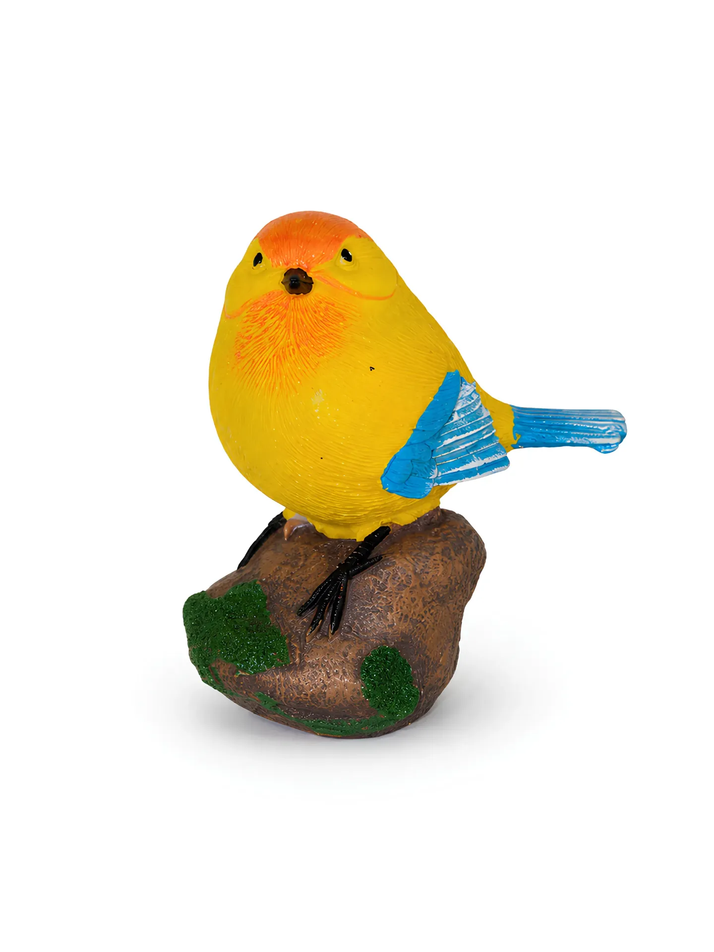 [منظر عصفور اصفر و ازرق 50622] منظر عصفور الوان (Yellow)
