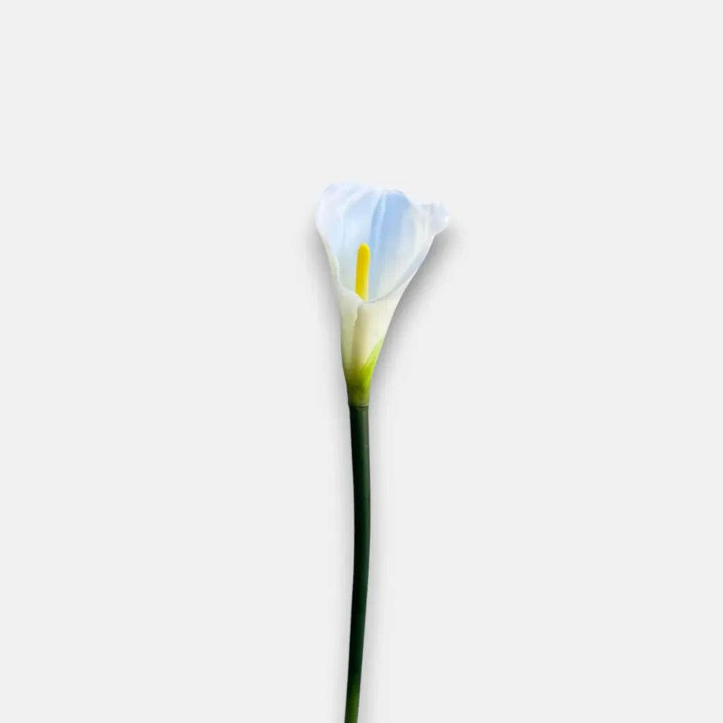 [ورد كالا صناعي 21-6] Calla lily