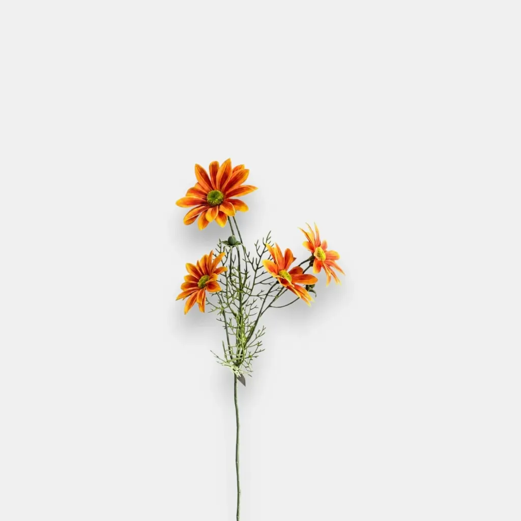 Gelbera rose