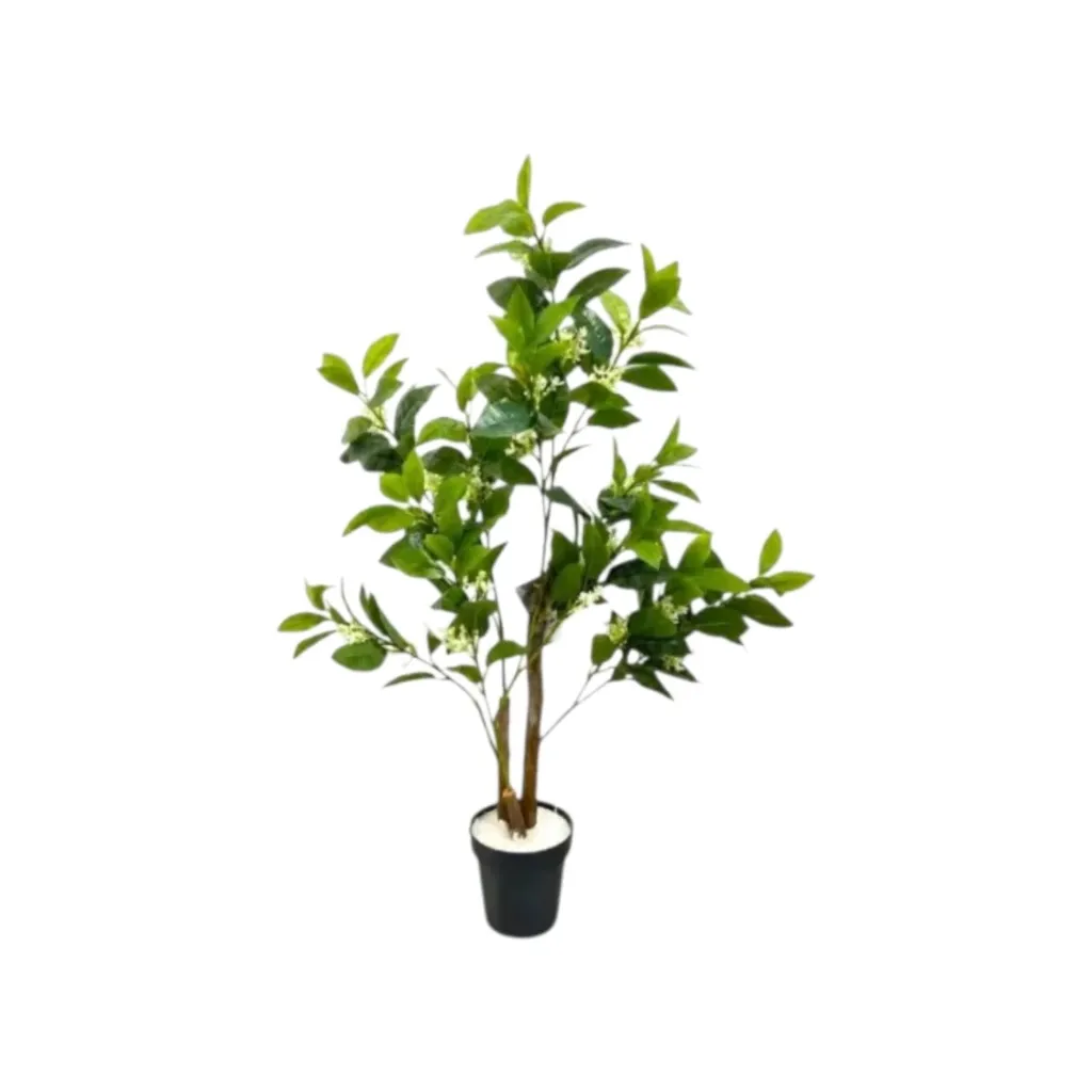 Small Lemon Tree