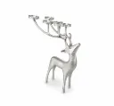 شمعدان غزال هندي