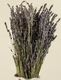 زهور الخزامى المجففة