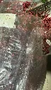 ضمة جيبسوفيل مجفف 